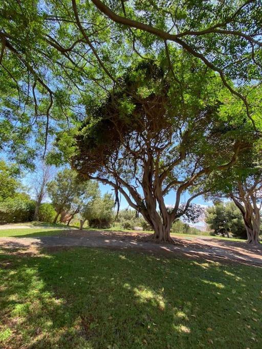 Apartment Moderno Con Vistas, Recepcion 24 Hs Y Piscinas
